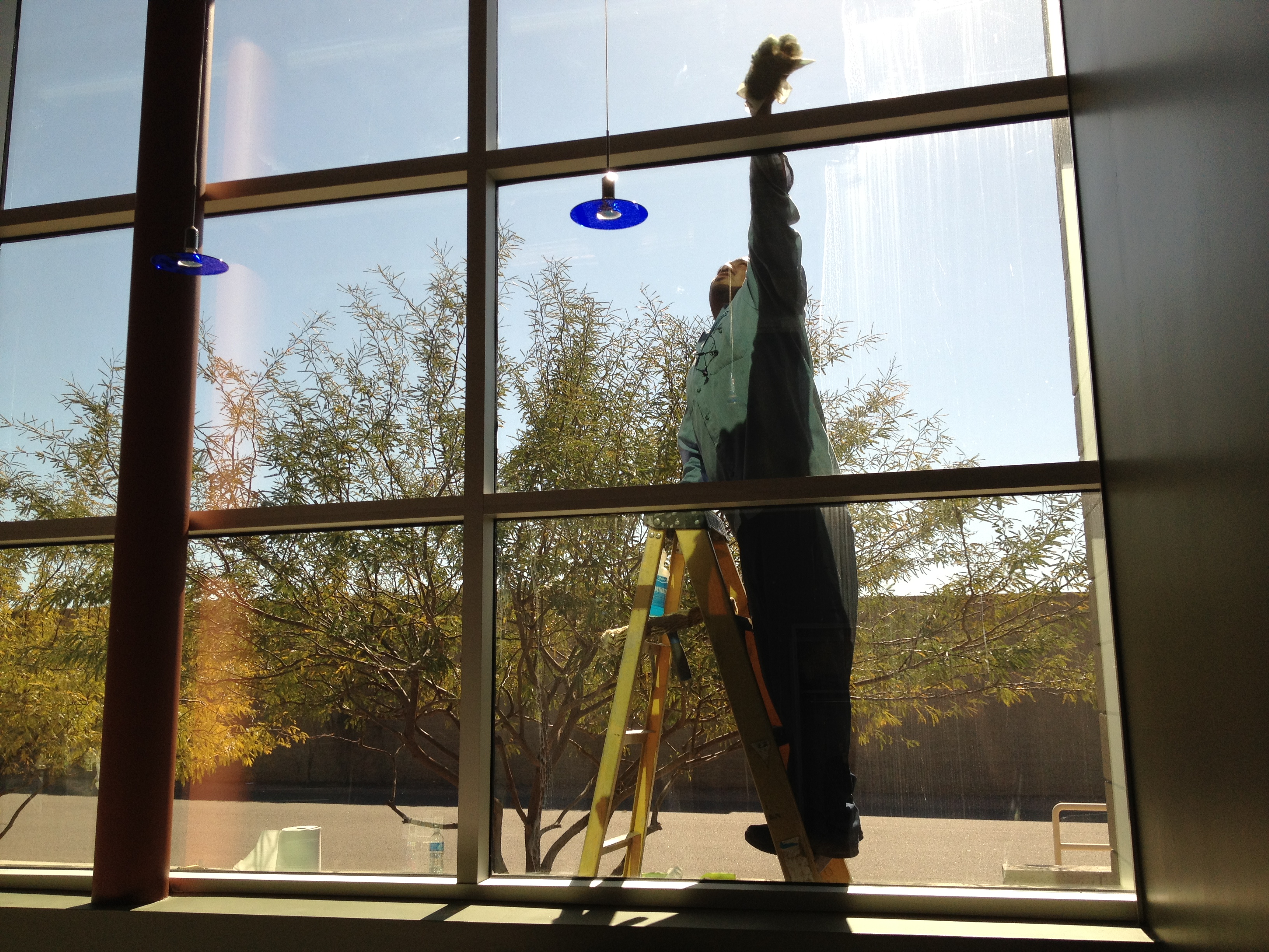 WINDOW CLEANING