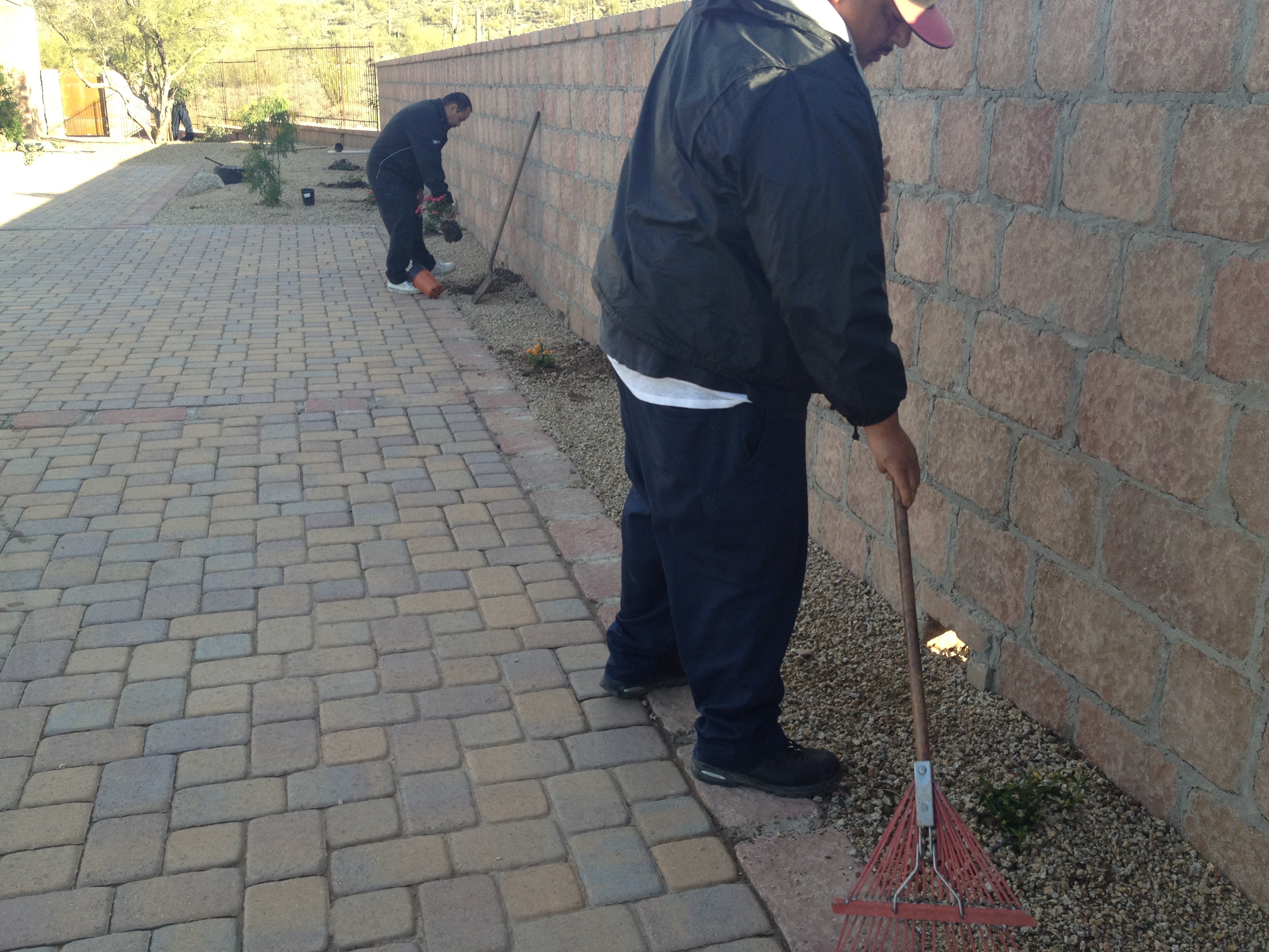 LANDSCAPING